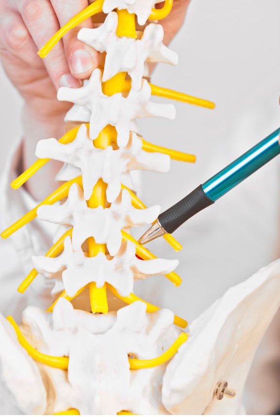 ACL Rehabilitation Timeline Explained